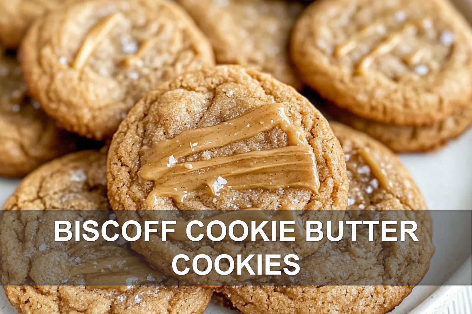 BISCOFF COOKIE BUTTER COOKIES centered hero view, clean and uncluttered