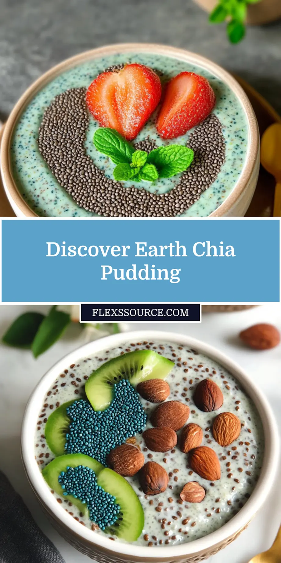 Earth Chia Pudding centered hero view, clean and uncluttered, pin image
