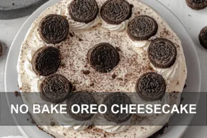 NO BAKE OREO CHEESECAKE centered hero view, clean and uncluttered