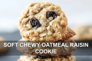 SOFT CHEWY OATMEAL RAISIN COOKIE centered hero view, clean and uncluttered