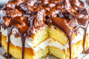 BOSTON CREAM POKE CAKE centered hero view, clean and uncluttered