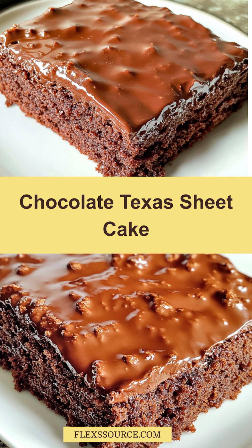 Easy Chocolate Texas Sheet Cake With Cinnamon centered hero view, clean and uncluttered for Pinterest